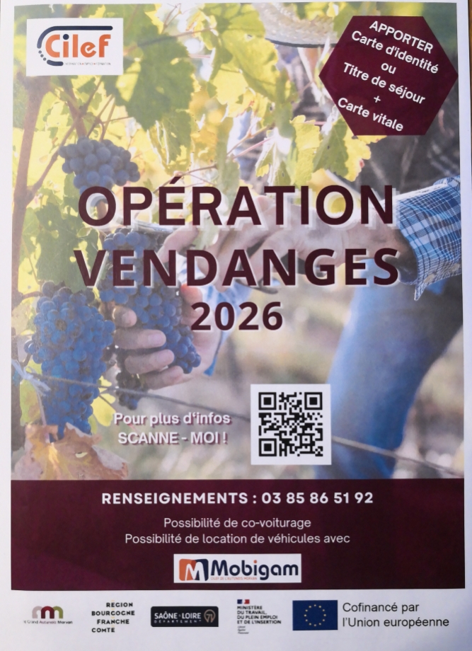 Opération vendanges par le CILEF